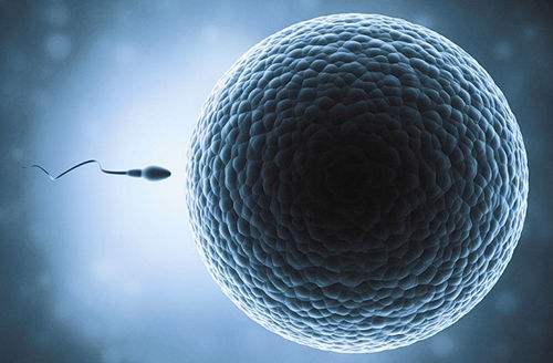 美国试管婴儿技术好吗？致所有迷茫的难孕育家庭！