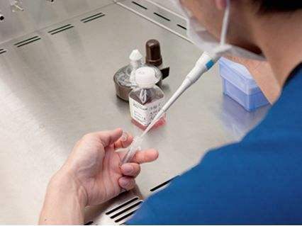 泰国试管婴儿移植失败的原因, 流产后多久可以再次移植