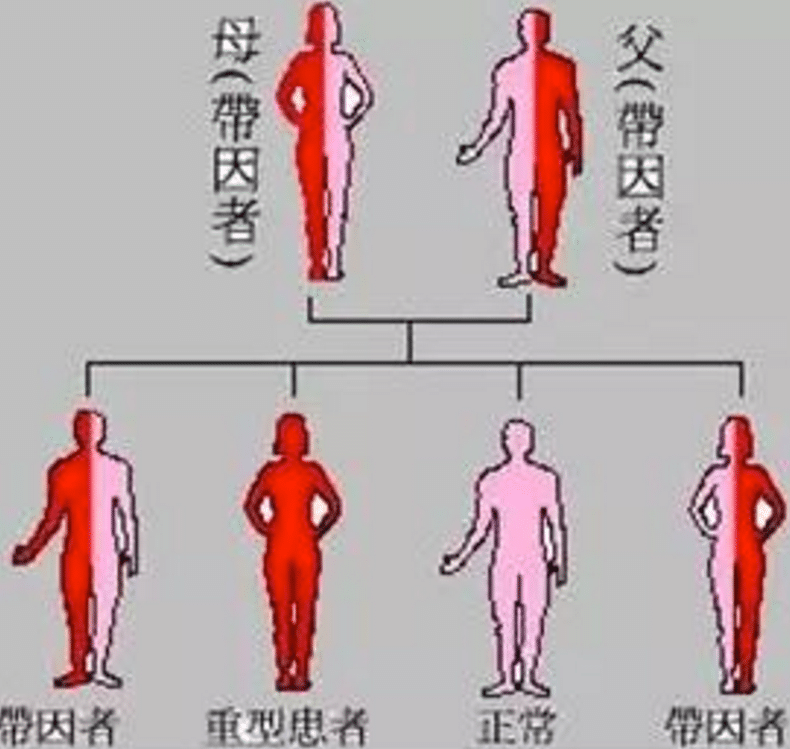 不抱怨命运不公，地中海贫血夫妻实现生育梦！