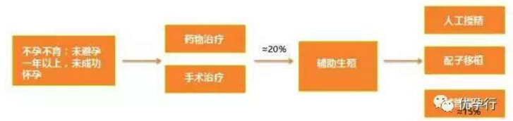 辅助生殖市场火爆，互联网备孕中心激增，海外试管婴儿较热门！