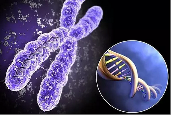 试管婴儿周期这么辛苦，千万不要让你的试管之路毁在这一步！