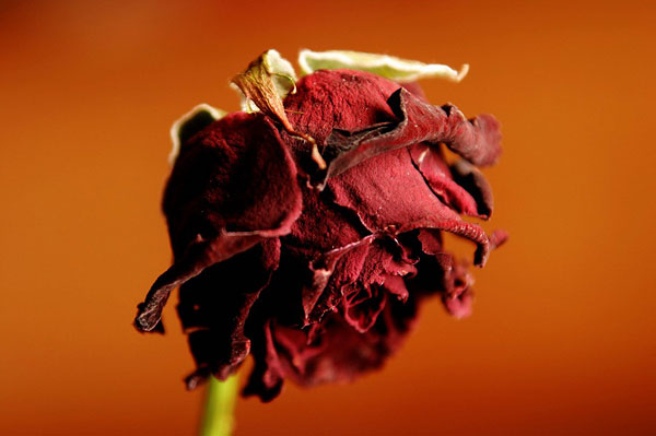 48岁可以做美国试管婴儿吗？