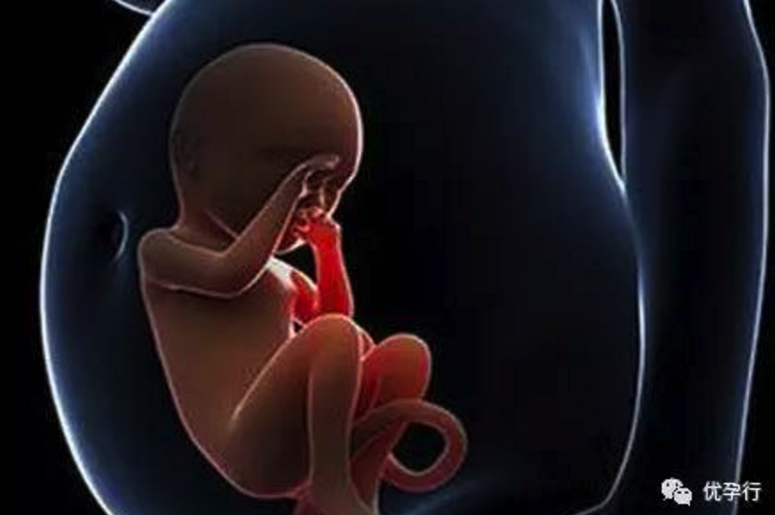 45岁还在等自然受孕，不是她不愿意做试管婴儿，因为她很在意这三件事！