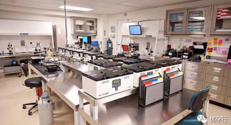 美国试管婴儿到底牛在哪？