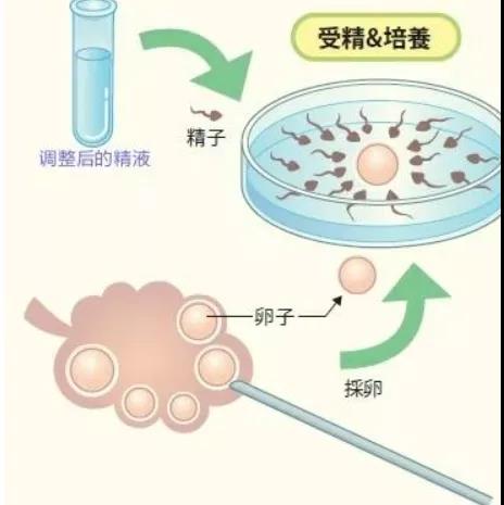 微信图片_20200805163710.jpg