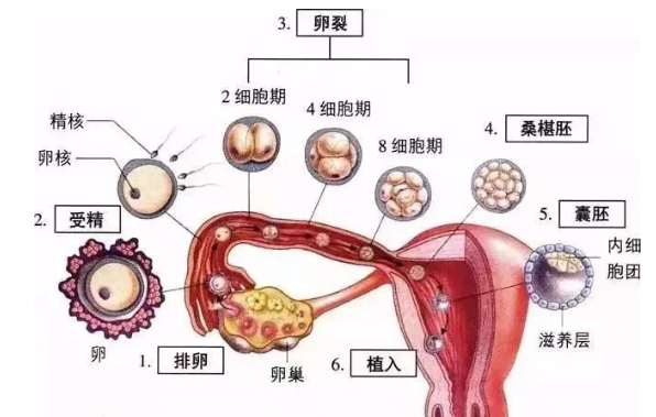 QQ图片20201111101159.png