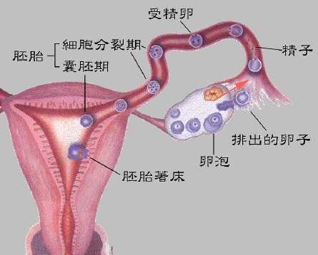 微信图片_20210526154818.jpg