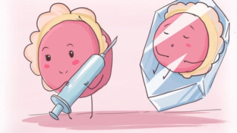 3-210ZQSU5Z0.jpeg